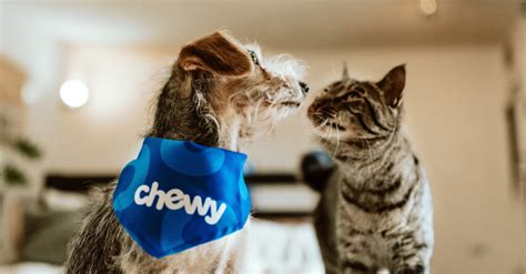 chewy.com official site.